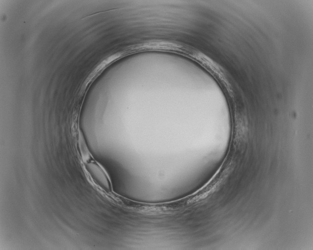 X0000081601049200702051324