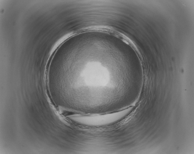 X0000081601050200702051324