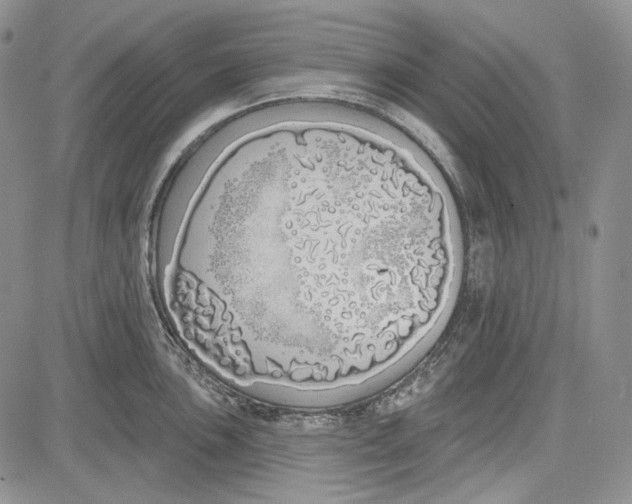 X0000081601051200702051324