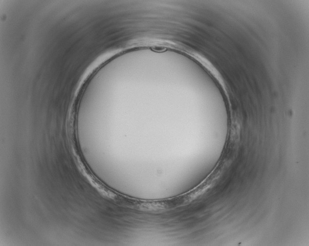 X0000081601053200702051324