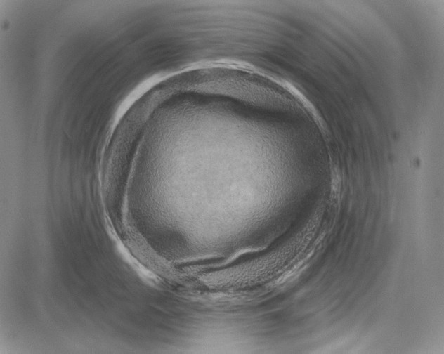 X0000081601054200702051324