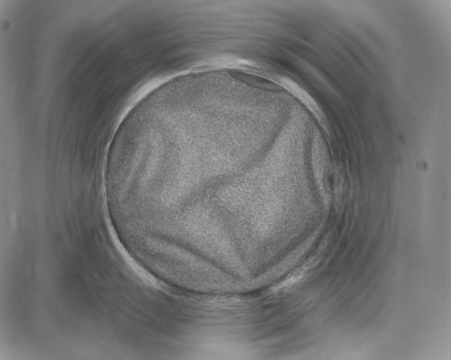 X0000081601055200702051324