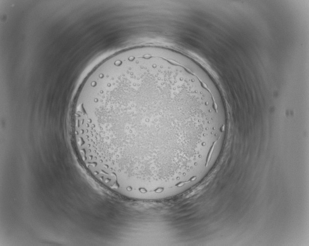 X0000081601056200702051324