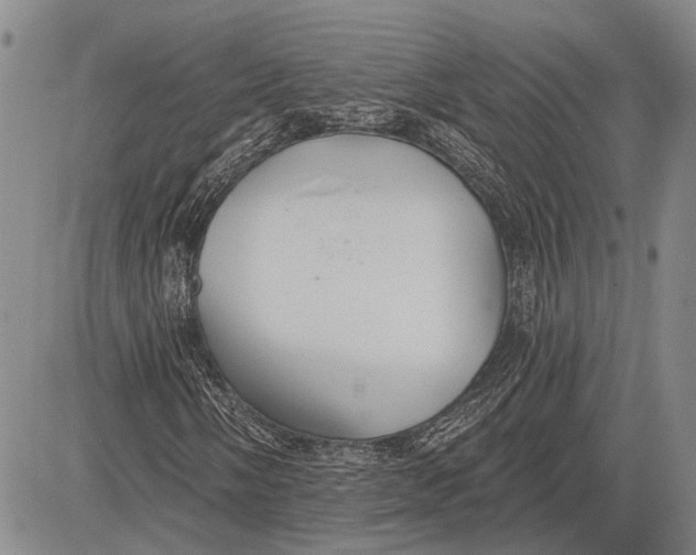 X0000081601058200702051324