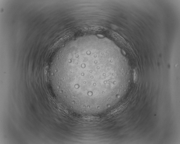 X0000081601059200702051324