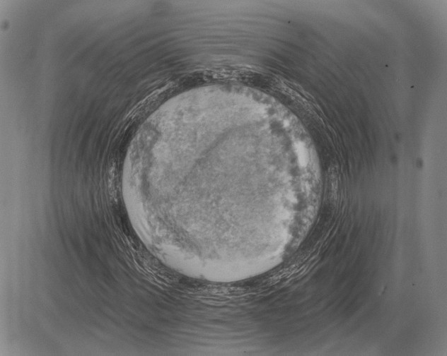 X0000081601060200702051324