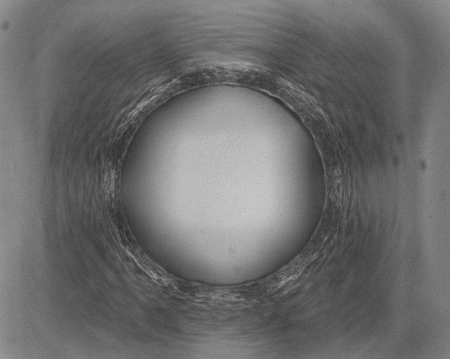 X0000081601061200702051323