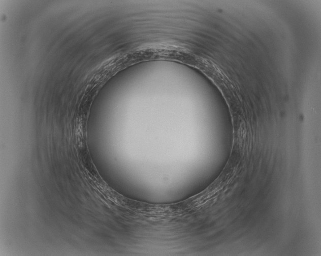 X0000081601062200702051323