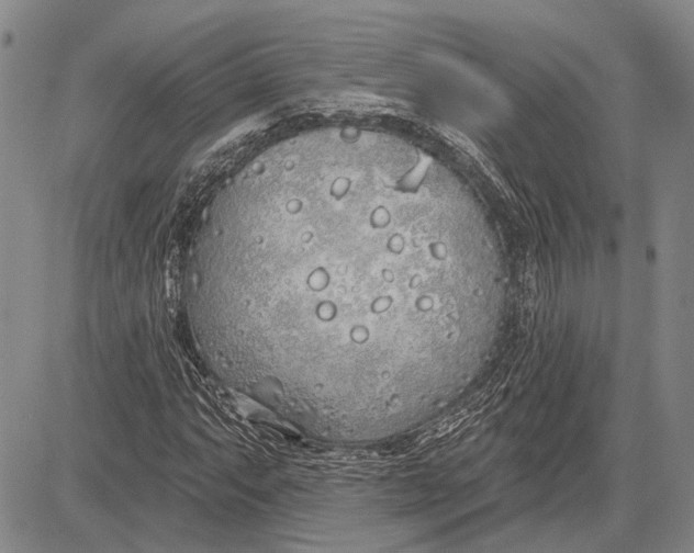 X0000081601063200702051323