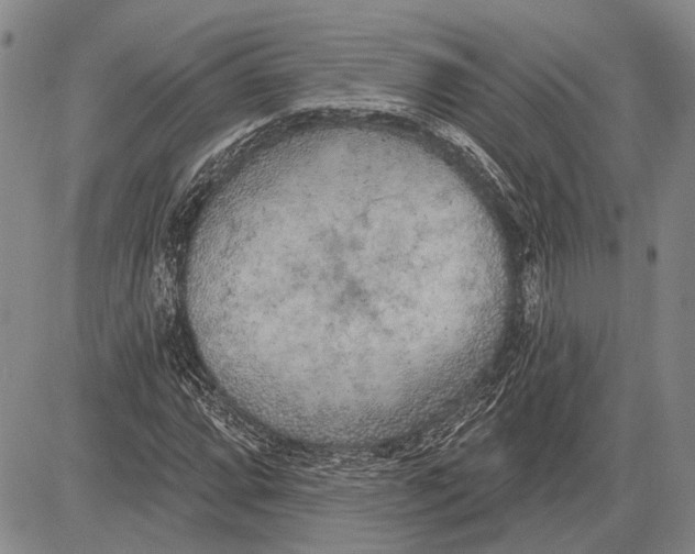 X0000081601064200702051323