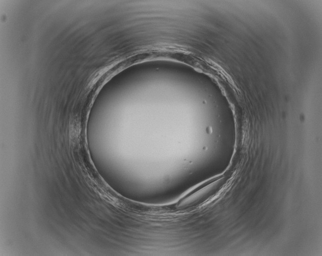 X0000081601065200702051323