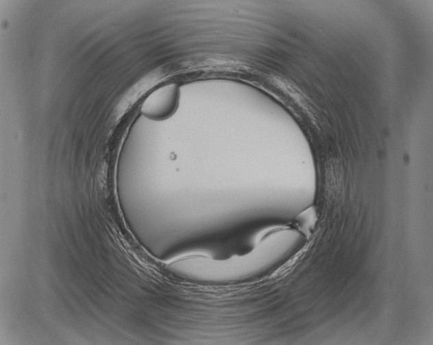 X0000081601066200702051323