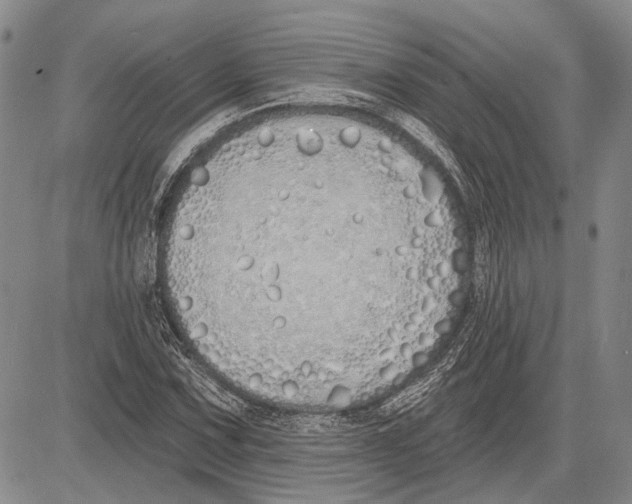 X0000081601067200702051323