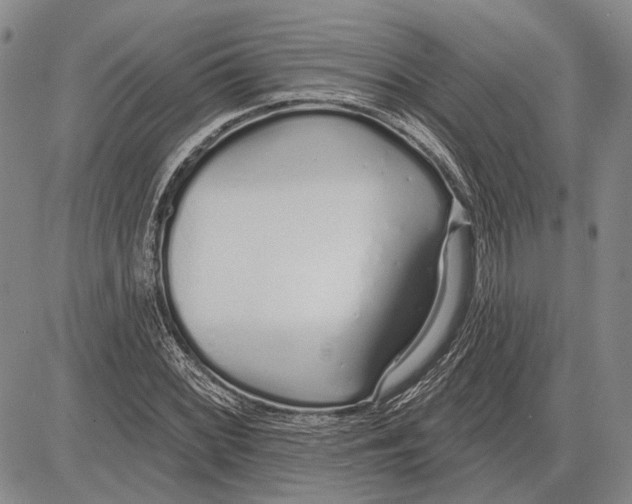 X0000081601068200702051323