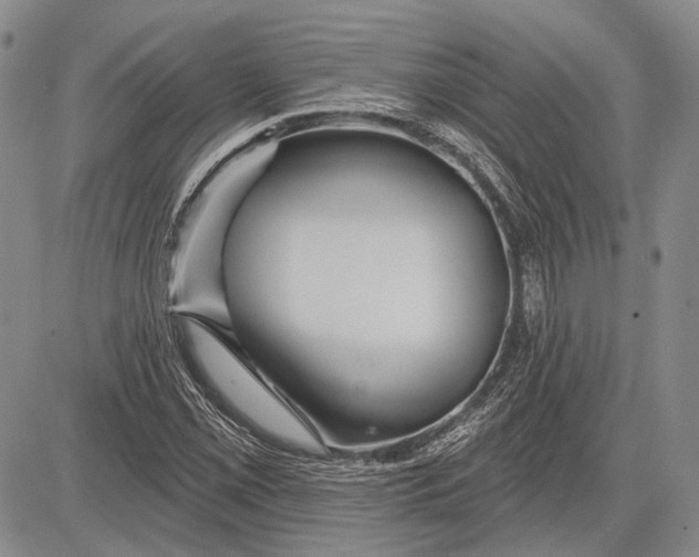 X0000081601069200702051323