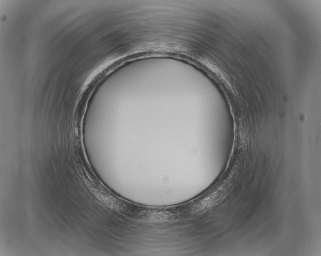 X0000081601070200702051323