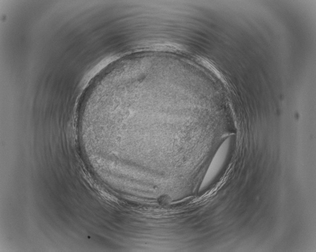 X0000081601071200702051323