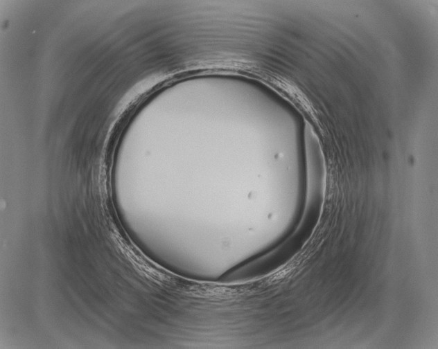 X0000081601072200702051323