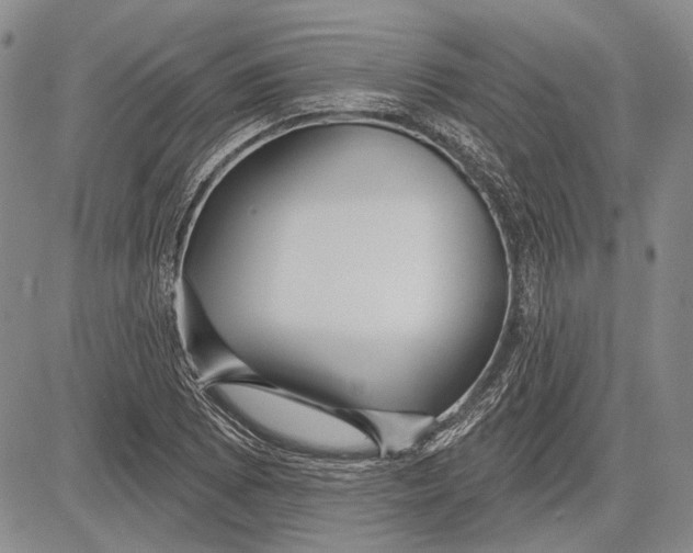 X0000081601073200702051323