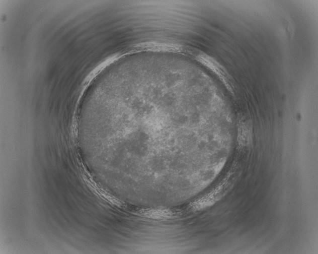 X0000081601074200702051323