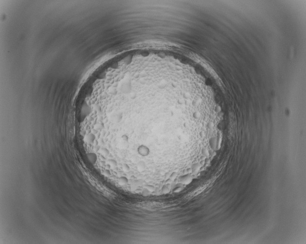 X0000081601075200702051323