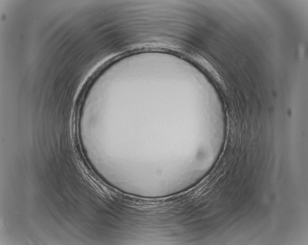 X0000081601076200702051323