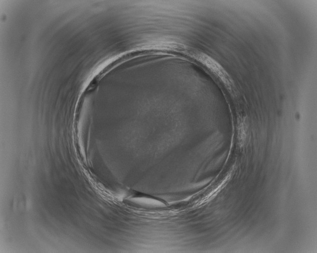 X0000081601077200702051323