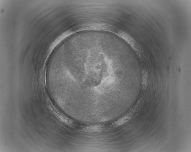 X0000081601078200702051323