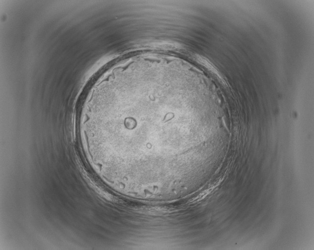 X0000081601079200702051323