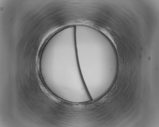 X0000081601080200702051323