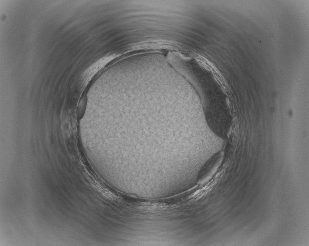 X0000081601081200702051323