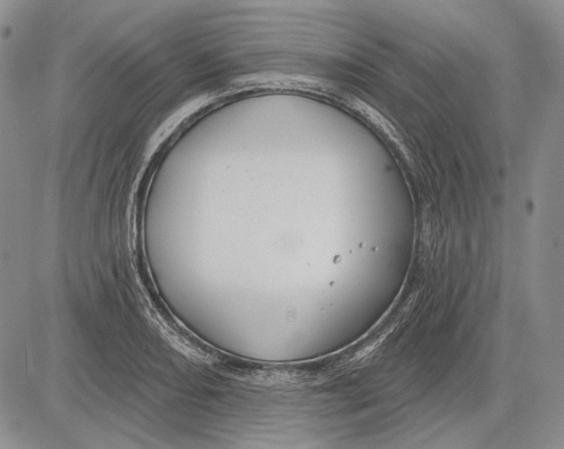 X0000081601082200702051323