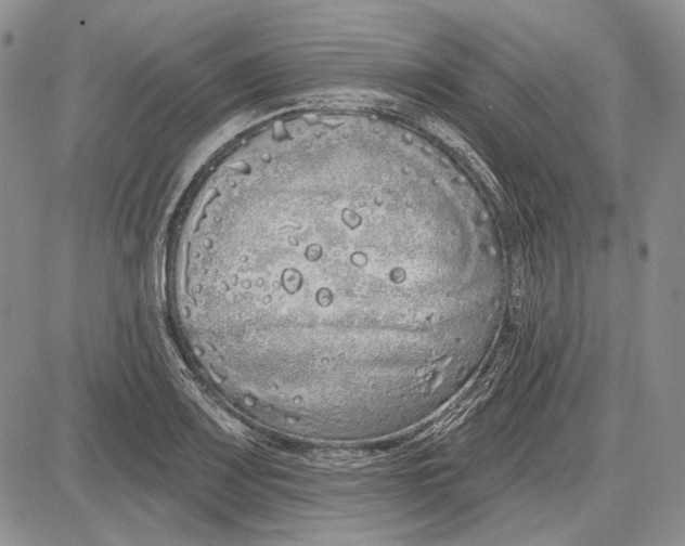 X0000081601083200702051323