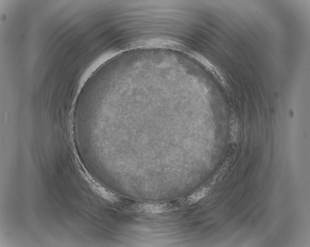 X0000081601086200702051323