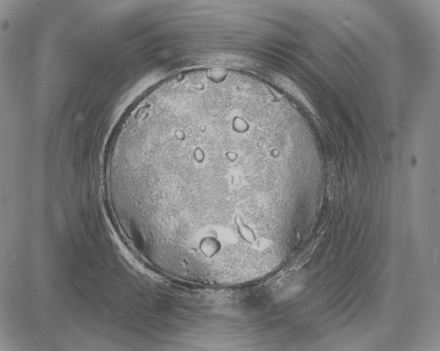 X0000081601087200702051323