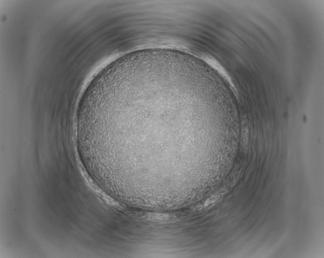 X0000081601088200702051323