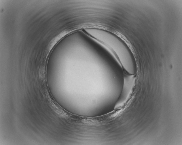 X0000081601089200702051323