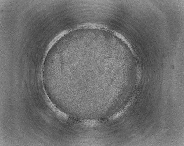 X0000081601090200702051323