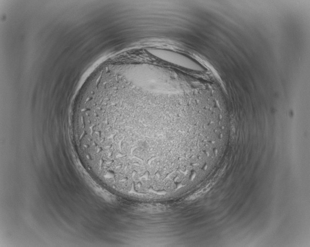 X0000081601091200702051323