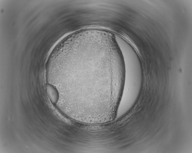 X0000081601092200702051323