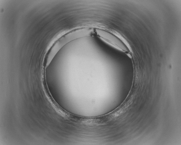 X0000081601093200702051323