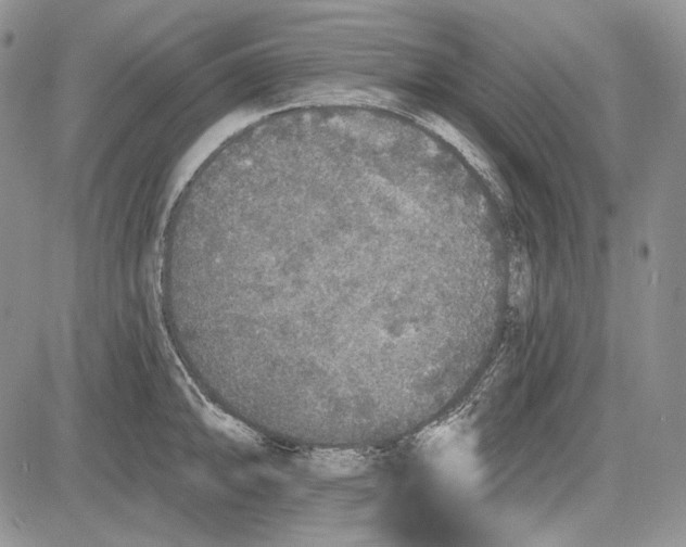 X0000081601094200702051323