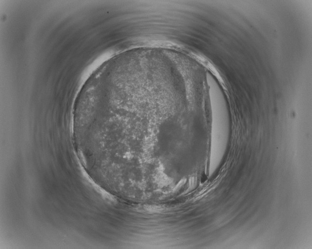 X0000081601095200702051323