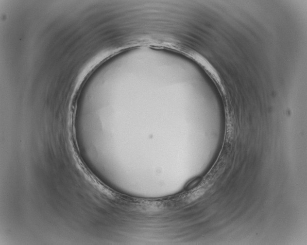 X0000081601096200702051323