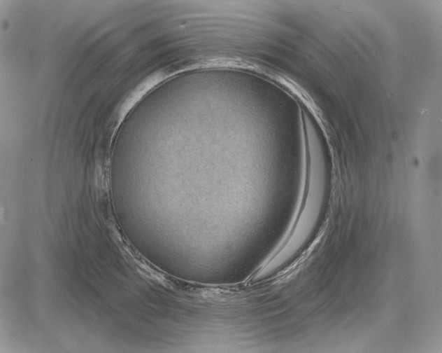 X0000081601097200702051323