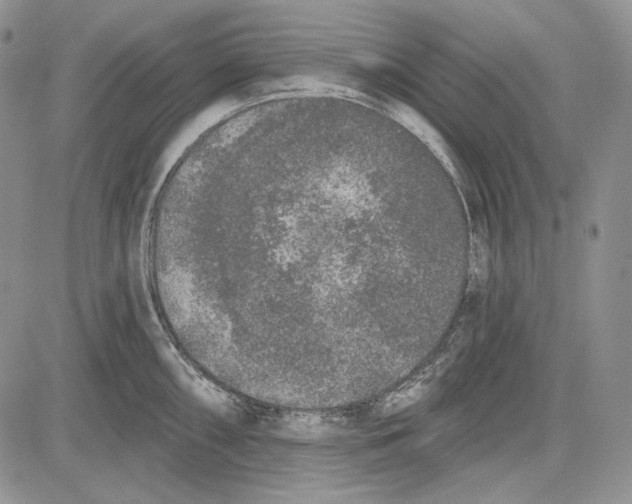 X0000081601098200702051323