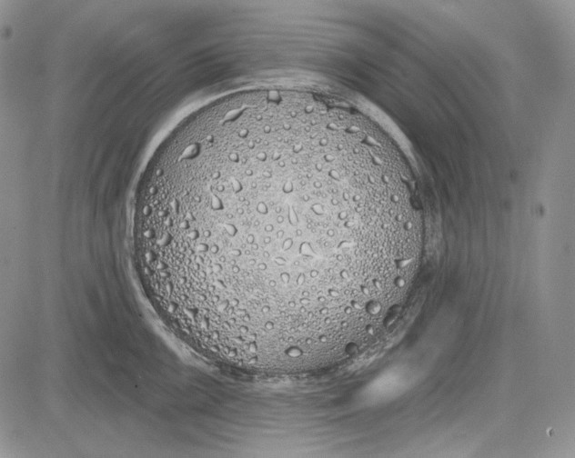 X0000081601099200702051323