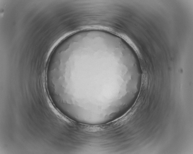 X0000081601100200702051323