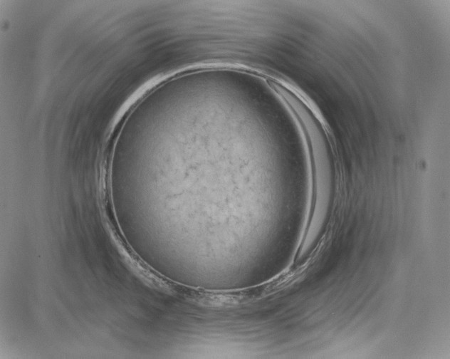 X0000081601101200702051323