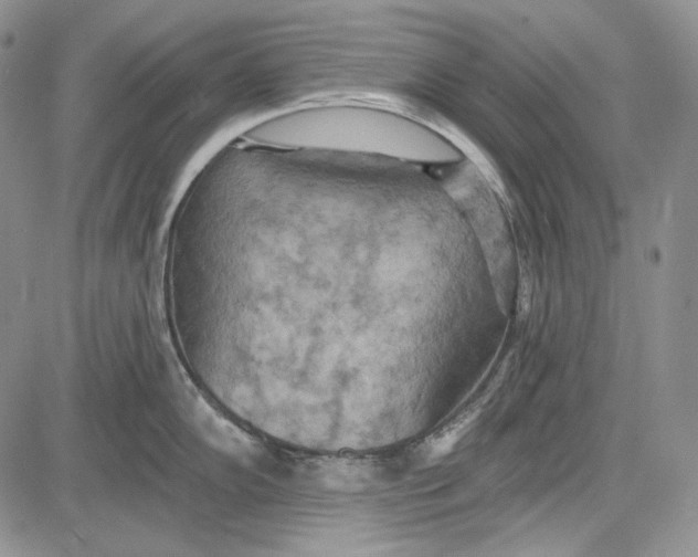 X0000081601102200702051323